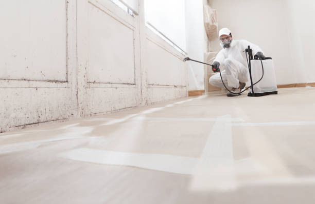 24/7 Emergency Mold Remediation experts in Drayden, MD